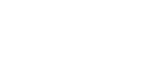 Logo Bertin Technologies